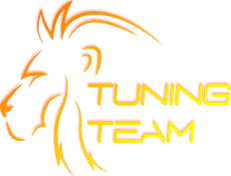 Логотип компании Tuning Team